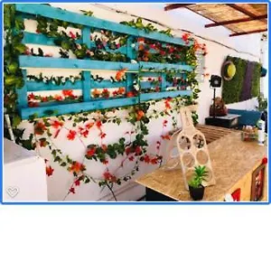 Hostel Faroway, Distrikt Faro